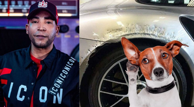 Perro de Don Omar dañó su lujoso auto y ahora pasará esto con el can