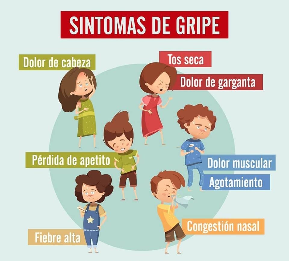 Gripe o Influenza