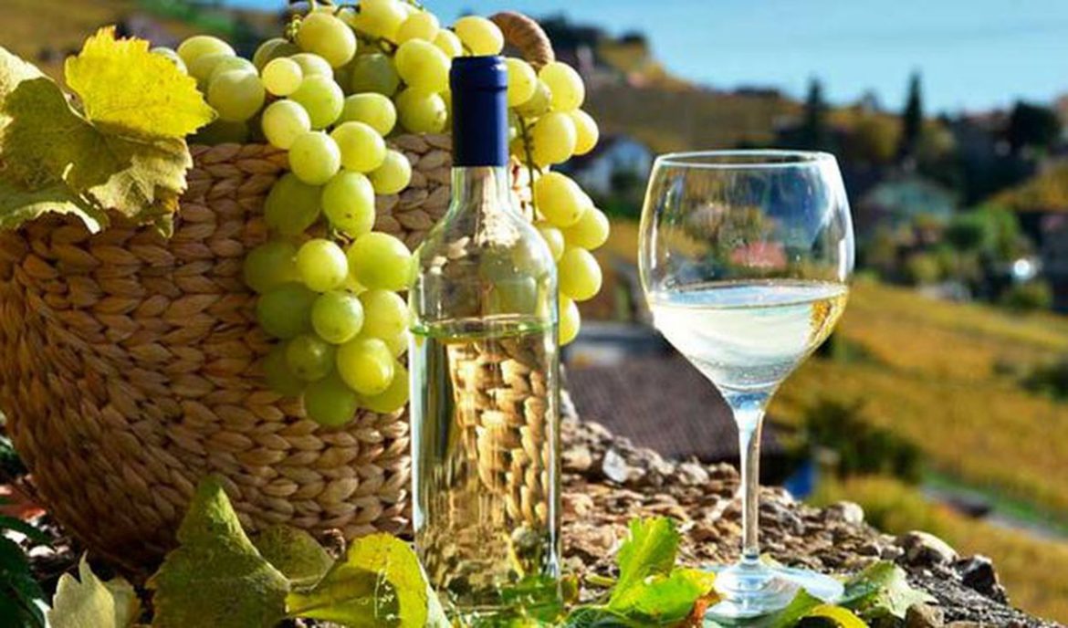 Exportación de pisco cayó 41% el 2020